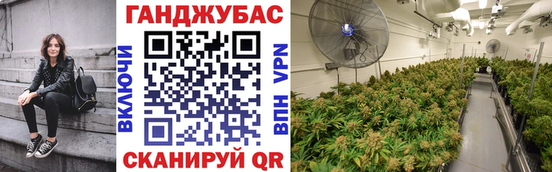 маркетплейс наркотические препараты  Весьегонск  Канабис сатива 